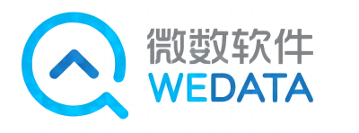 微(wēi)數(shù)軟件(jiàn)LOGO-網站(zhàn)(1).png