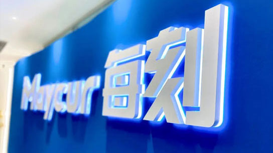 Gartner overview about